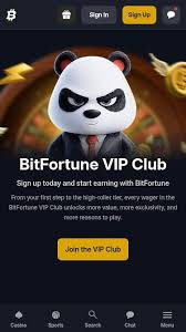 Why Players Use XRP A Comprehensive Overview